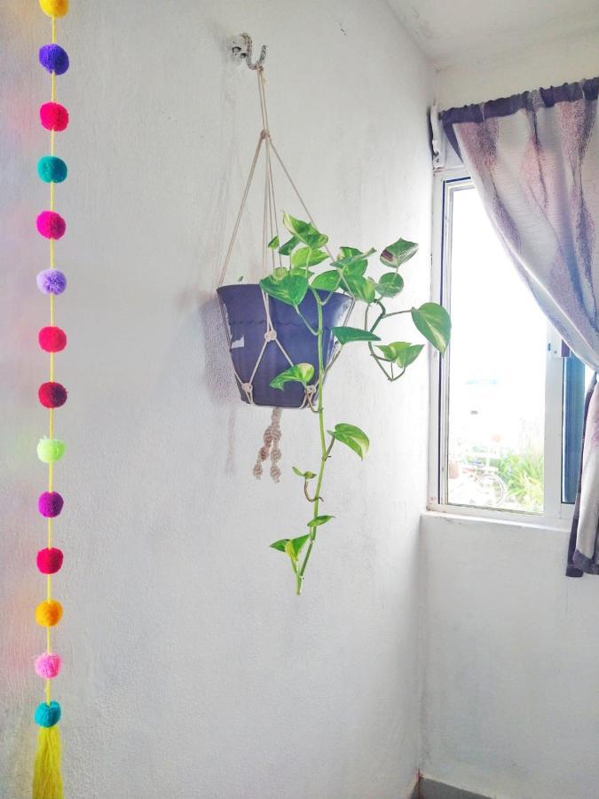 Апартаменти "Casitas Arcoiris" Excelente Ubicacion - Petfriendly Ісла-Мухерес Екстер'єр фото