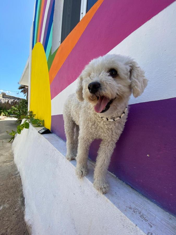 Апартаменти "Casitas Arcoiris" Excelente Ubicacion - Petfriendly Ісла-Мухерес Екстер'єр фото